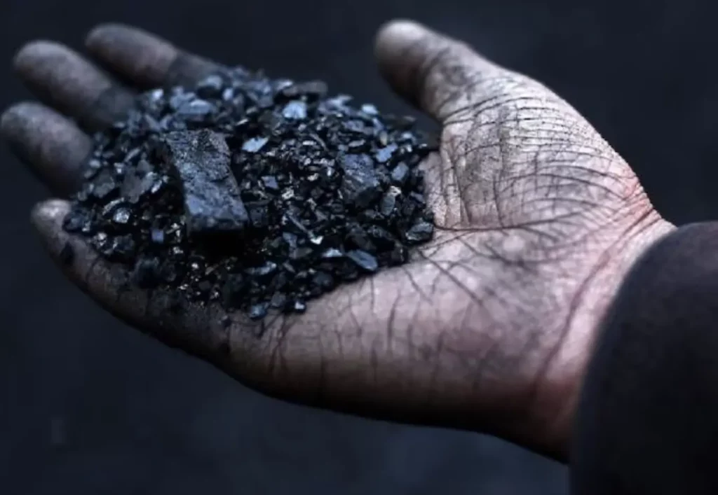 Coal India Q3 Results 2024